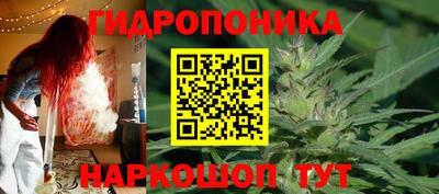ешки Кингисепп