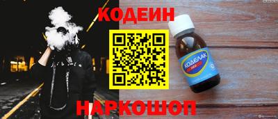 ешки Кингисепп