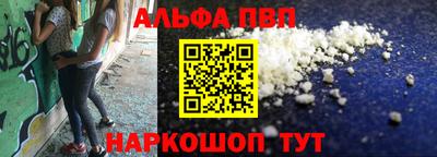 ешки Кингисепп