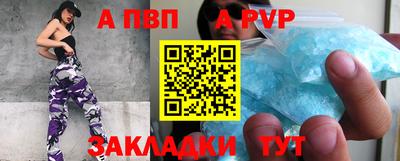 ешки Кингисепп