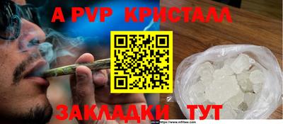 ешки Кингисепп