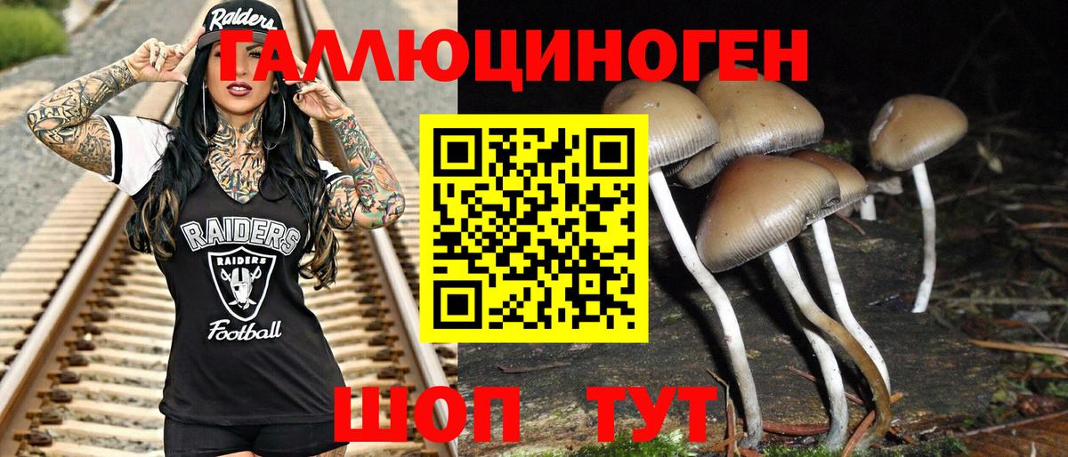 дарнет шоп  Галлюциногенные грибы прущие грибы  Котовск  Вход с VPN  Псилоцибиновые грибы мухоморы 