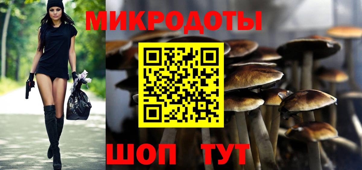 Псилоцибиновые грибы мицелий Котовск